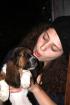 Basset Hound Hündin mit Stammbaum