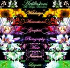 ARTILLUSIONS  GRAFIKDESIGNER, WEBDESIGN, WEBSEITEN, LAYOUTS, MULTIMEDIA, FOTOGRA