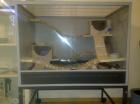 Nagerterrarium Vivario 80 antik mit 2 Raten