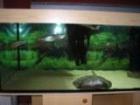 200cm Komplettaquarium