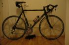 Rennrad Ultegra so gut wie neu
