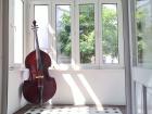 Philharmonischer Sachse • 4/4 Kontrabass • 115 Jahre • sehr ausgewogen und wohl 