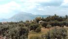 Gewerbegruendstueck bei Patras/Griechenland