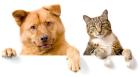 Hundefutter, Katzenfutter, Tierbedarf kaufen bei Natur4Pets.de