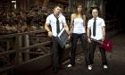 Deutsch Polnische Schlesische Band Hochzeit Hochzeitsband Livemusik