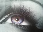 Wimpernstudio LASHES