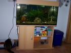 Aqarium 200l inkl,. Allemfür 150,-€ zu verkaufen
