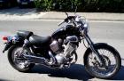 XV 535 Virago - XV535 - TÜV NEU - 24tkm , 46 PS
