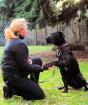 Hundeverhaltenstherapeutin/Hundetrainerin mit Energiearbeit und Mentaler Tierkom
