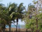 Schönes Baugrundstück 100 Meter vom Strand entfernt, Guanacaste, Costa Rica