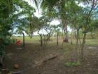 Schönes Grundstück direkt am Strand, Guanacaste, Costa Rica