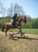 Suche RB MIT tunierteilnahme