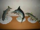 Angler aufgepasst