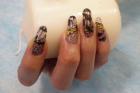 Intensiv Kurs:   EXPRESS Methode Nagelmodellage  