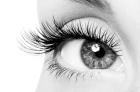 Ausbildung zum XXL Lashes Stylisten - Workshop   semi permanente Wimpernverlänge