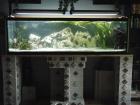 TOP ANGEBOT KOMPLETT AQUARIUM