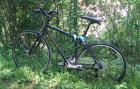 Kona Citybike, 2 Monate alt