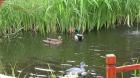 F E R I E N.-Wohnung--.SPREEWALD.--. Lübbenau. Ab.20 €