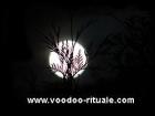Power Turbo Voodoo Rituale Partnerrückführung Partnerzusammenführung Liebesmagie