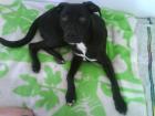 Suche ein neues Zuhause