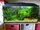Aquarium 80x35x40 cm,  112 l Fassungsvermögen KOMPLETT