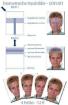 Passbilder SOFORT, auch biometrisch für Pass, Visa etc.