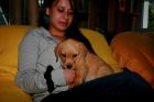 Noch selten in Deutschland ***** Labrador Welpen in foxred