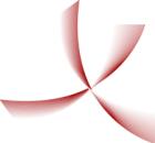 Professional EDV Dienstleister mit guten Preisen