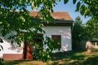 Weinberg in Boly-Ungarn