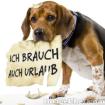 Urlaub mit Hund beim Feriengeier