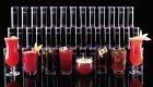 Nebenjob - Vermarktung von Gastroprodukten an Bars   Hotels