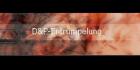  D P-Entrümpelung/Umzüge/Möbeltransporte/Haushaltsauflösung/ 
