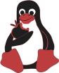 Service Mac OSX Linux Xbox 360 Wii PS3 PSP iPhone Jailbreak Umbau Flash CFW HBC