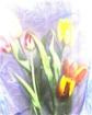 Tapetenbilder einmal anders