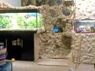 Aquarium240l