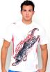 16 € nur für Polo, Ed Hardy ,CA,POLO, T-Shirts AF
