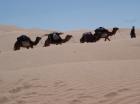 Sahara Trekking Ende Oktober