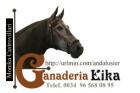Andalusier-Pura Raza Espa ola Zuchtgestüt und Verkauf direkt aus Spanien 