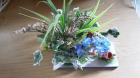 Blumen topfen