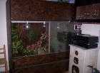 Terrarium 150x150x50 