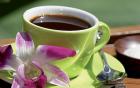 Die Nature s Immune Idee