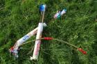 Waldtag in Loose am 03.09-0.7978