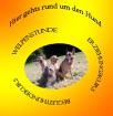 Hundeschule-Dogcoaching-Pension, hier gehts rund um den Hund