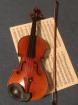 Violinunterricht professionell und individuell