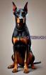 Notizbuch Dobermann, Buch m. Hundemotiv, Kalender, Tagesplaner & Geschenkidee, G