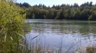 Anglerblog Ostfriesland und Zwischen Weser und Ems Kostenlos