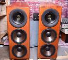Audiotec r.f-fischer Tannoy Genesis Lautsprecher