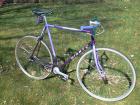 Giant Singlespeed