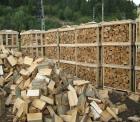Brennholz 100% TROCKEN UND HART