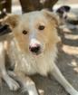 Bounty sucht ein passendes Zuhause